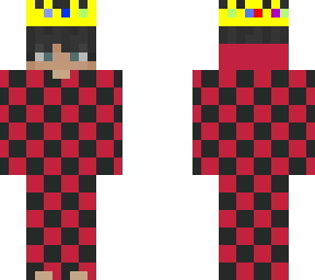 my personal skin but technoblade