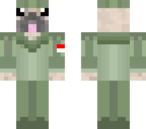 pug general