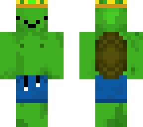 summer turtle