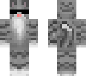 gato