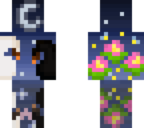 twins of swan (contest)