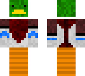 mallard duck