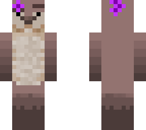 nutria mayte 678