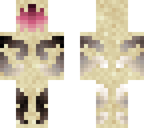 sandskin stormcaster
