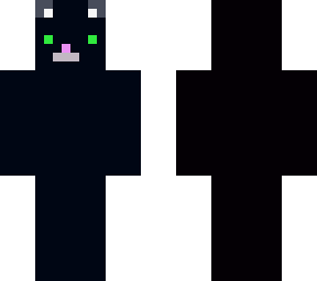black cat