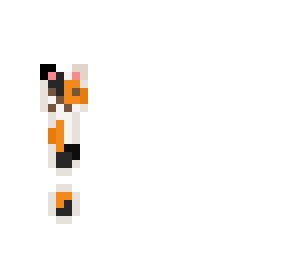 new announcement skin/ 100 followers q and a