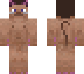 steve feline