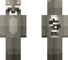 raccoon