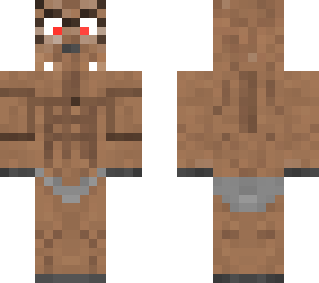 musk deer