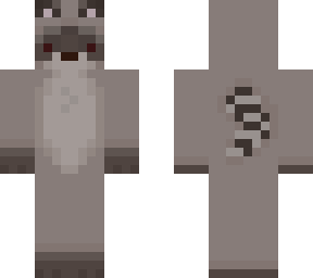 raccoon