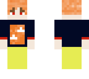 skin minecraft