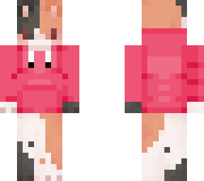 calico in red hoodie