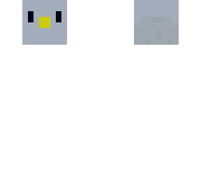 gvercin