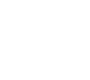 the dot