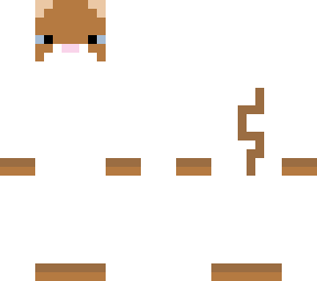 cat 6 (ragdoll)