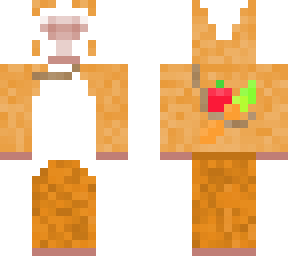 guinea pig v2