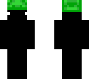 turtle hat