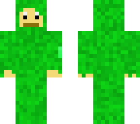 forest monkey