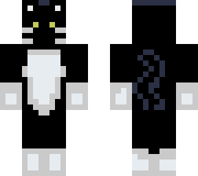 mr. darcy cat