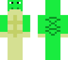 turtle guy