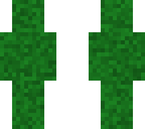 camo 2