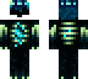 cyber as warden