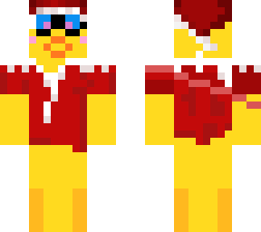 duck winter