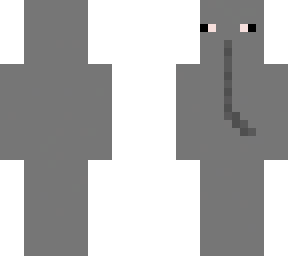 elefanti