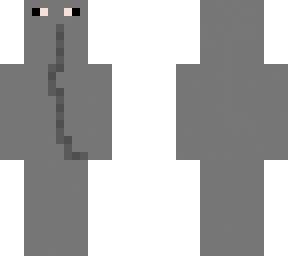 elefanti