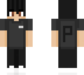 skin para pol