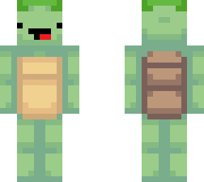 mr turtle