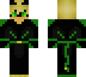 chat noir with a new look
