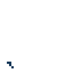 skin template
