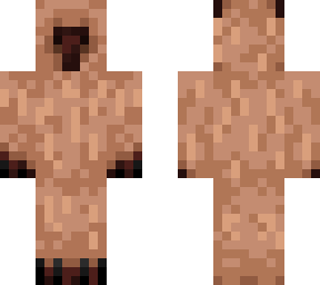 copy bara