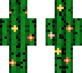 blushing cactus 3