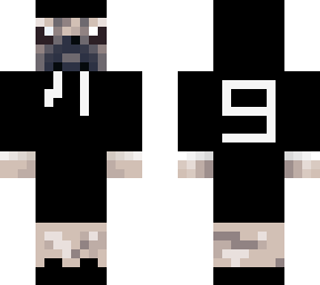 pug v4
