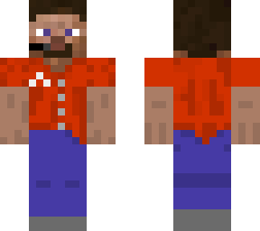 steve, from sate farm