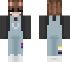 bi & non-binary flag origin smp feline skin