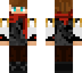 ninja skin