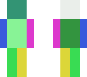 skin template