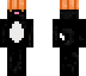 halloween cat with pumpkin hat