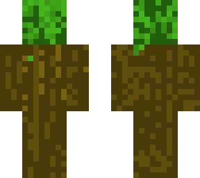 tree (for hide and seek game)