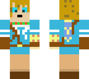 botw link