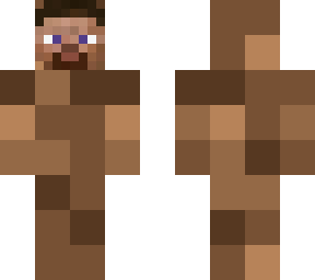 dirt steve