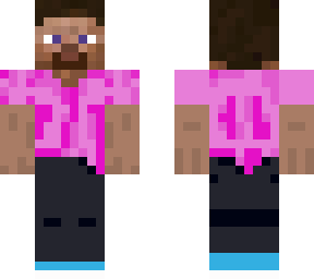 steve 2.0