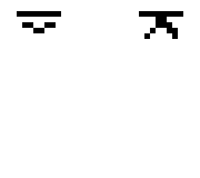 white ninja
