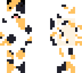calico cat