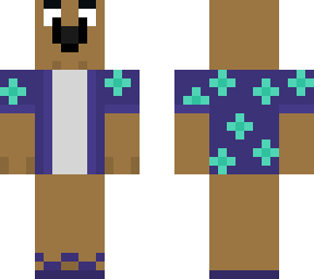 dog with summer shirt and sandals