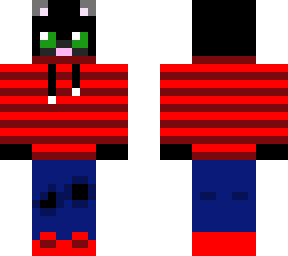 dark cat with sweater