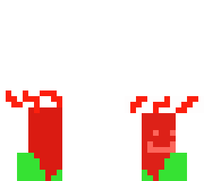 the christmas sock